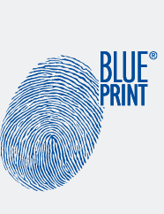  Blue Print